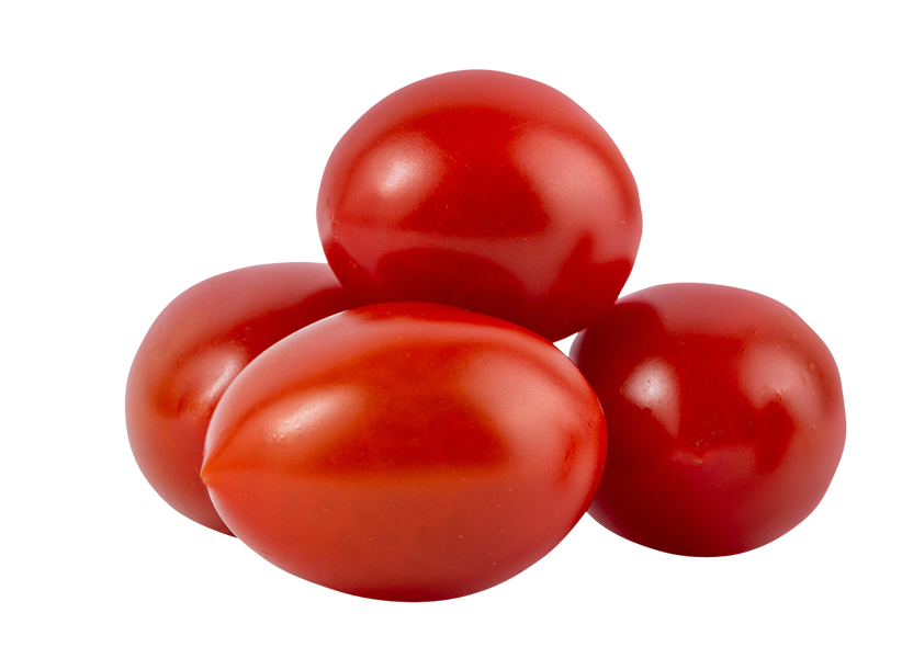tomatoes, tomatoes png, tomatoes png image, tomatoes transparent png image, tomatoes png full hd images